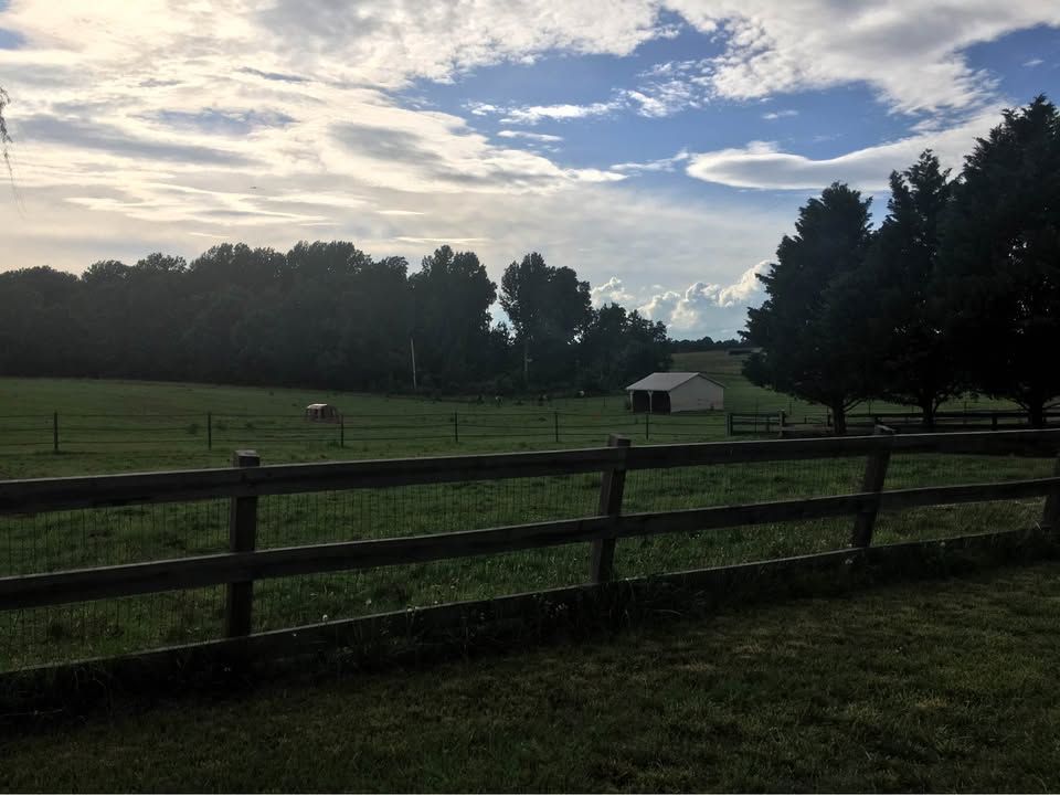 Pander Hollow Farm pastures and horses